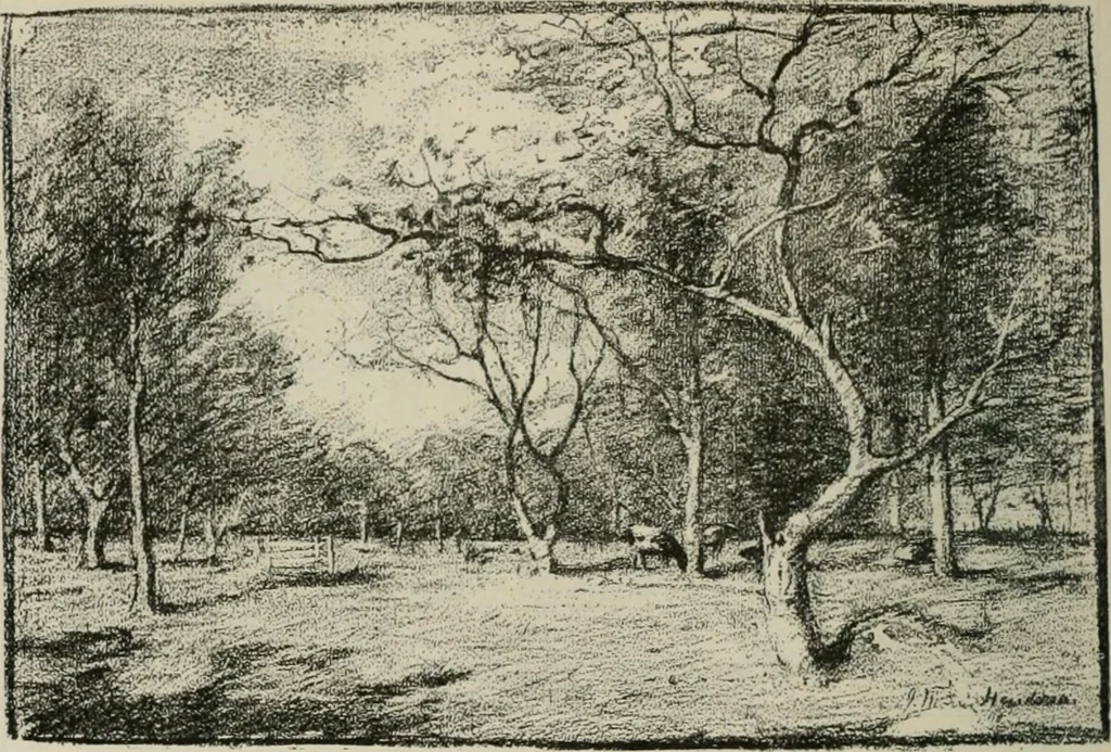 An illustration from Catalogue illustré, 1879, leaf 317
