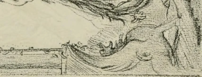 An illustration from Catalogue illustré, 1879, leaf 324