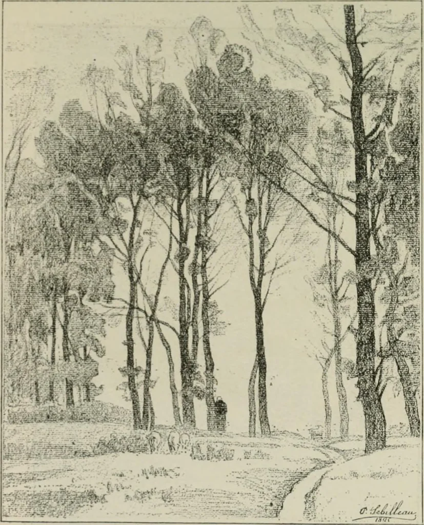 An illustration from Catalogue illustré, 1879, leaf 326