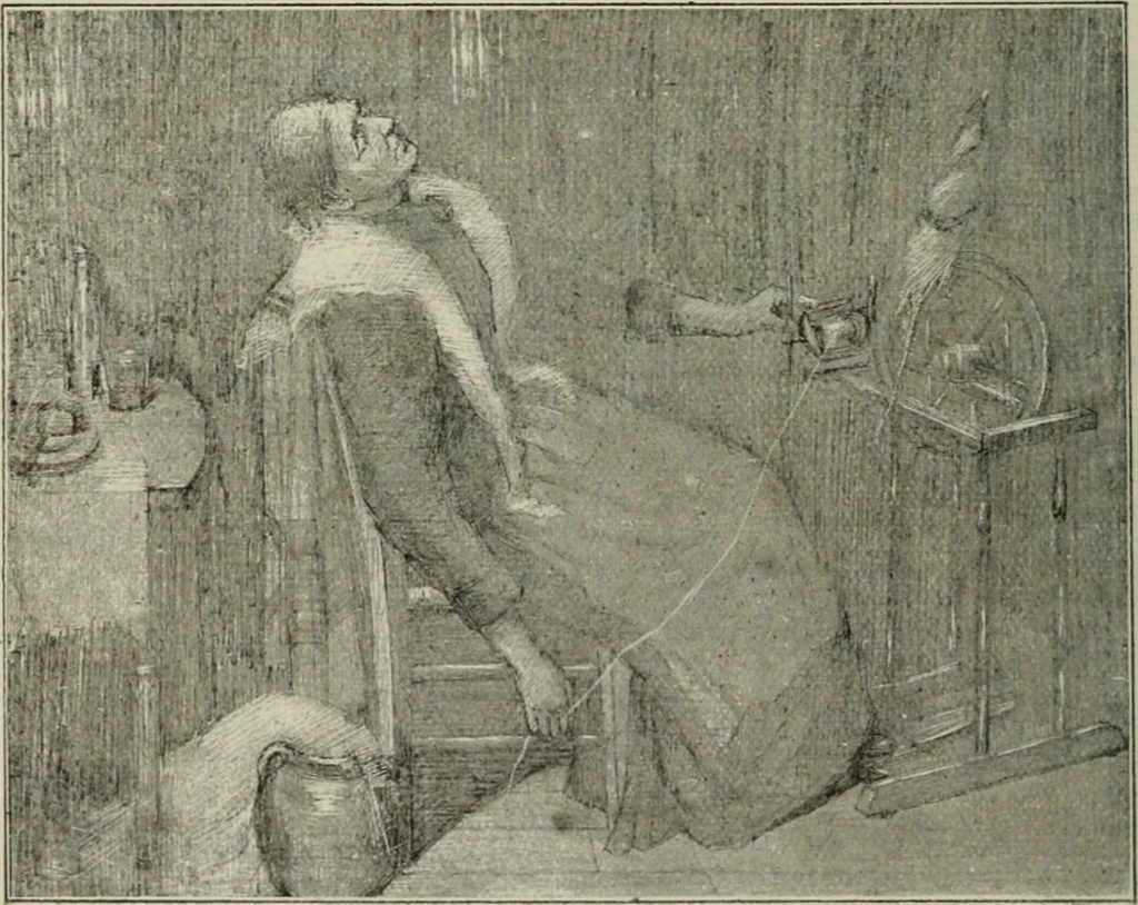 An illustration from Catalogue illustré, 1879, leaf 327