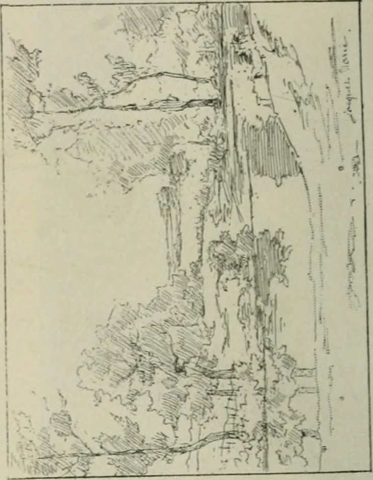 An illustration from Catalogue illustré, 1879, leaf 329