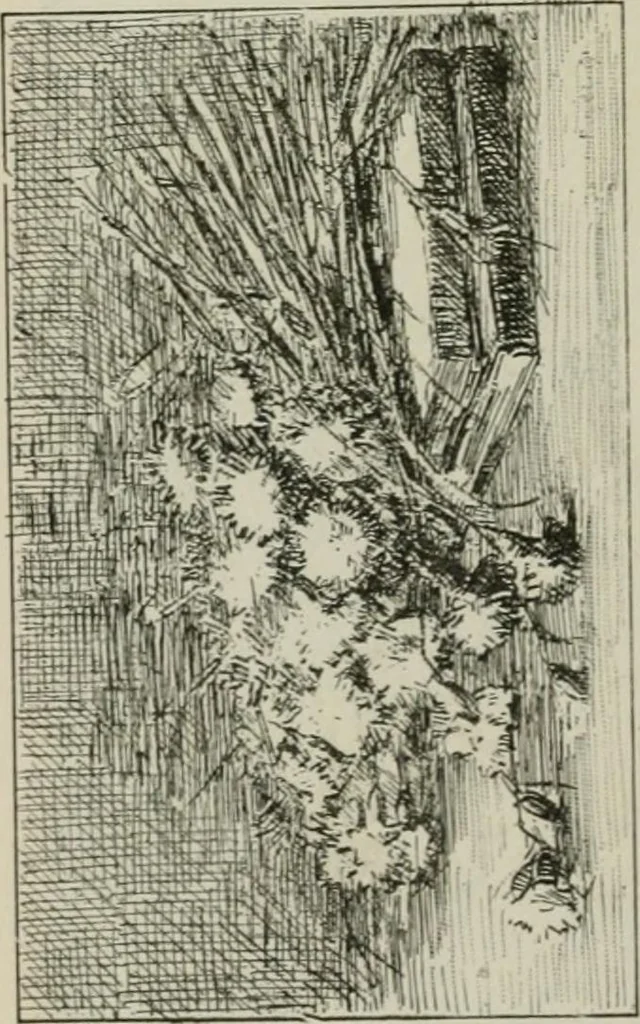 An illustration from Catalogue illustré, 1879, leaf 329