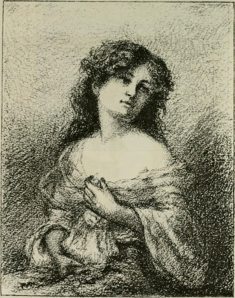 An illustration from Catalogue illustré, 1879, leaf 332