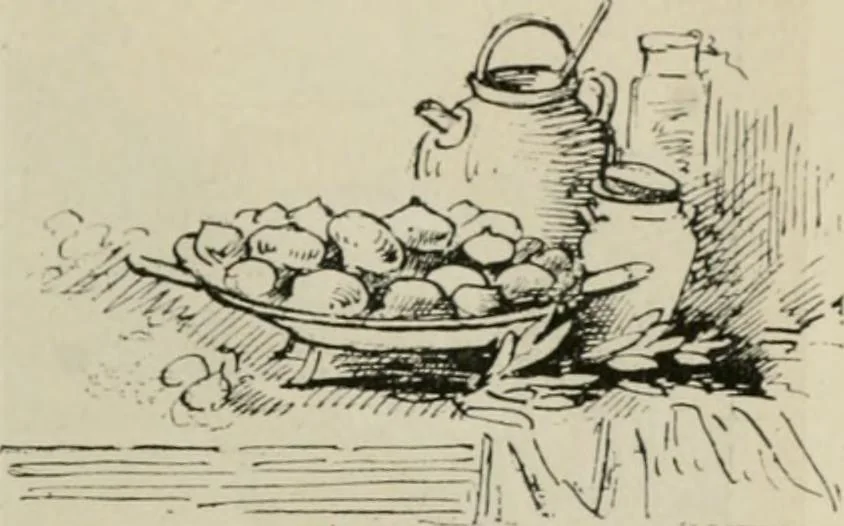 An illustration from Catalogue illustré, 1879, leaf 334