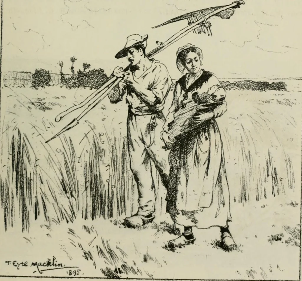 An illustration from Catalogue illustré, 1879, leaf 334