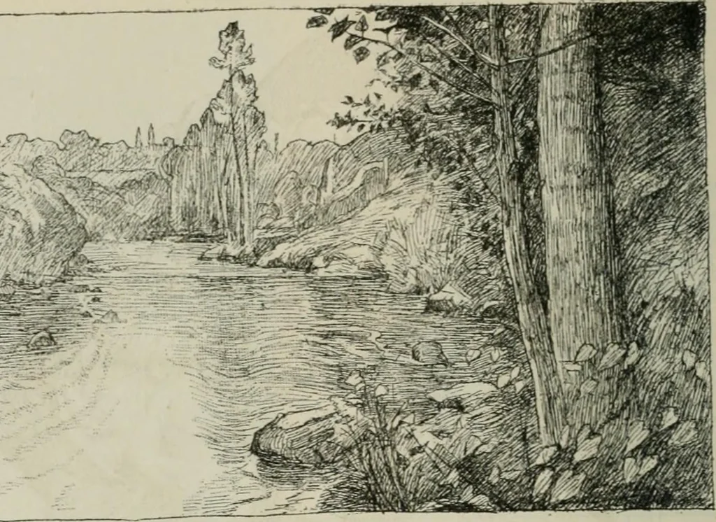 An illustration from Catalogue illustré, 1879, leaf 335