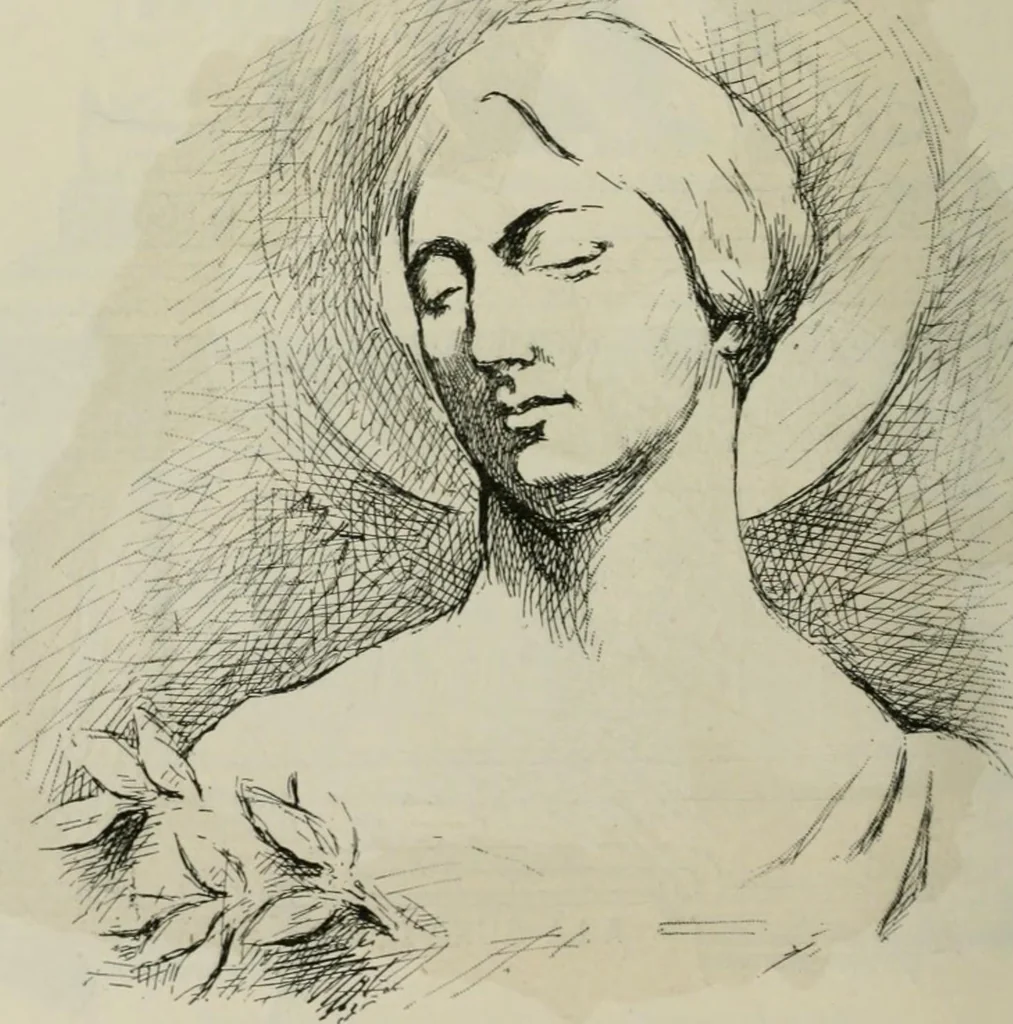 An illustration from Catalogue illustré, 1879, leaf 337