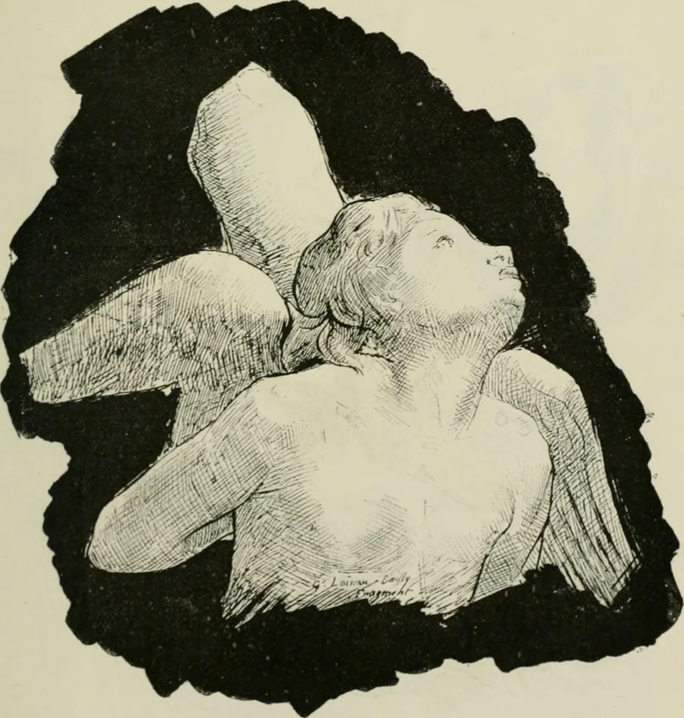 An illustration from Catalogue illustré, 1879, leaf 338