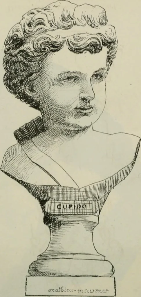 An illustration from Catalogue illustré, 1879, leaf 339