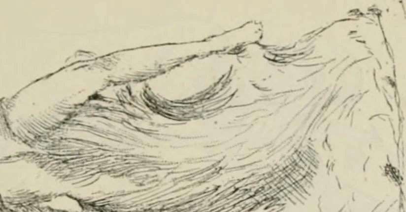 An illustration from Catalogue illustré, 1879, leaf 344