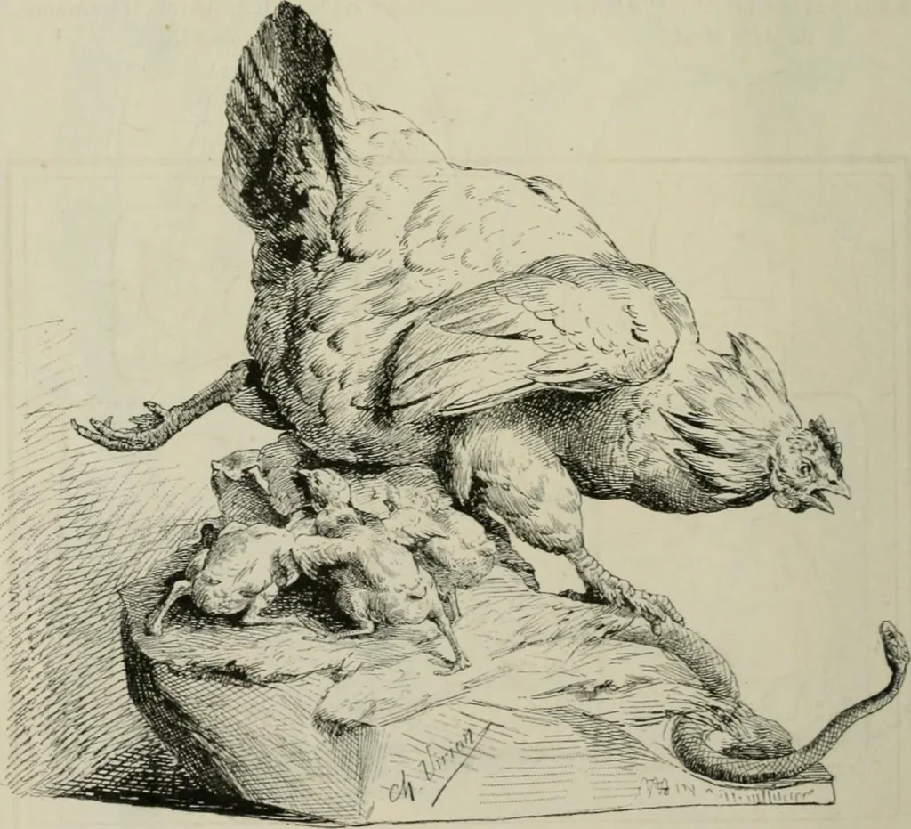 An illustration from Catalogue illustré, 1879, leaf 345