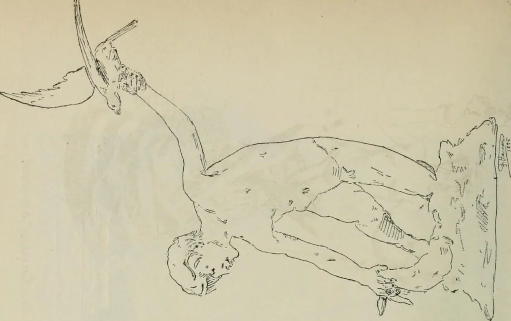 An illustration from Catalogue illustré, 1879, leaf 351