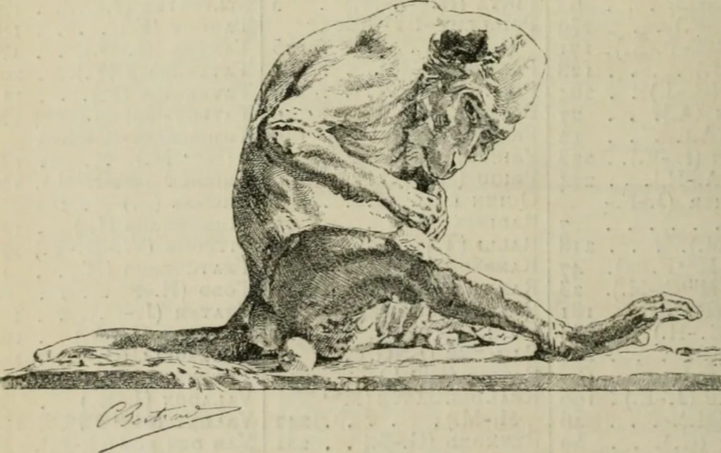 An illustration from Catalogue illustré, 1879, leaf 359