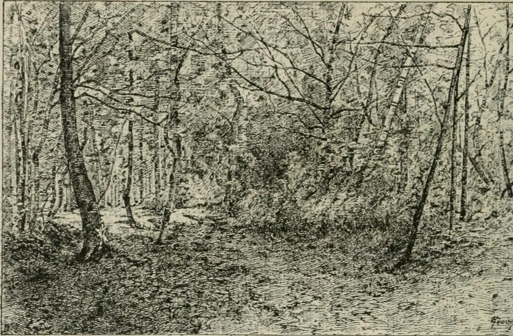 An illustration from Catalogue illustré, 1879, leaf 77
