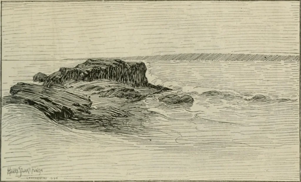 An illustration from Catalogue illustré, 1879, leaf 78