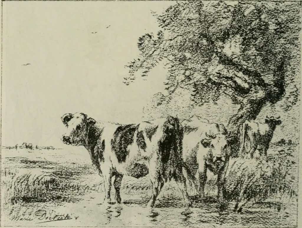 An illustration from Catalogue illustré, 1879, leaf 81