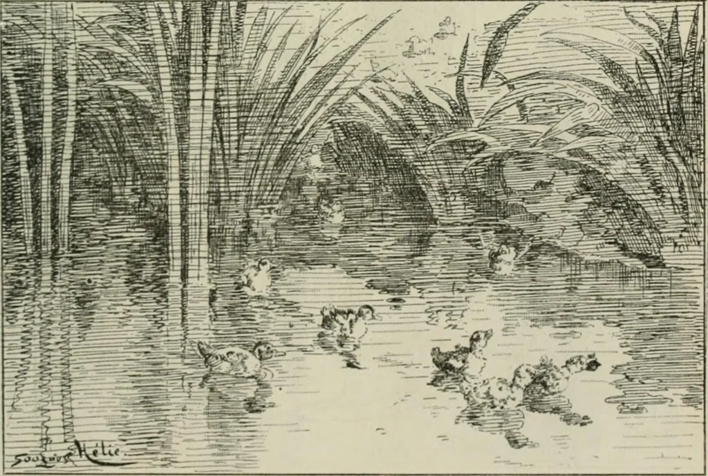 An illustration from Catalogue illustré, 1879, leaf 90