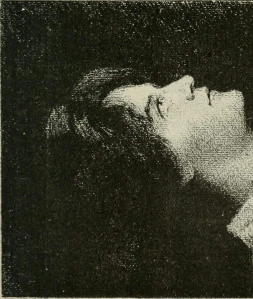 An illustration from Catalogue illustré, 1879, leaf 94