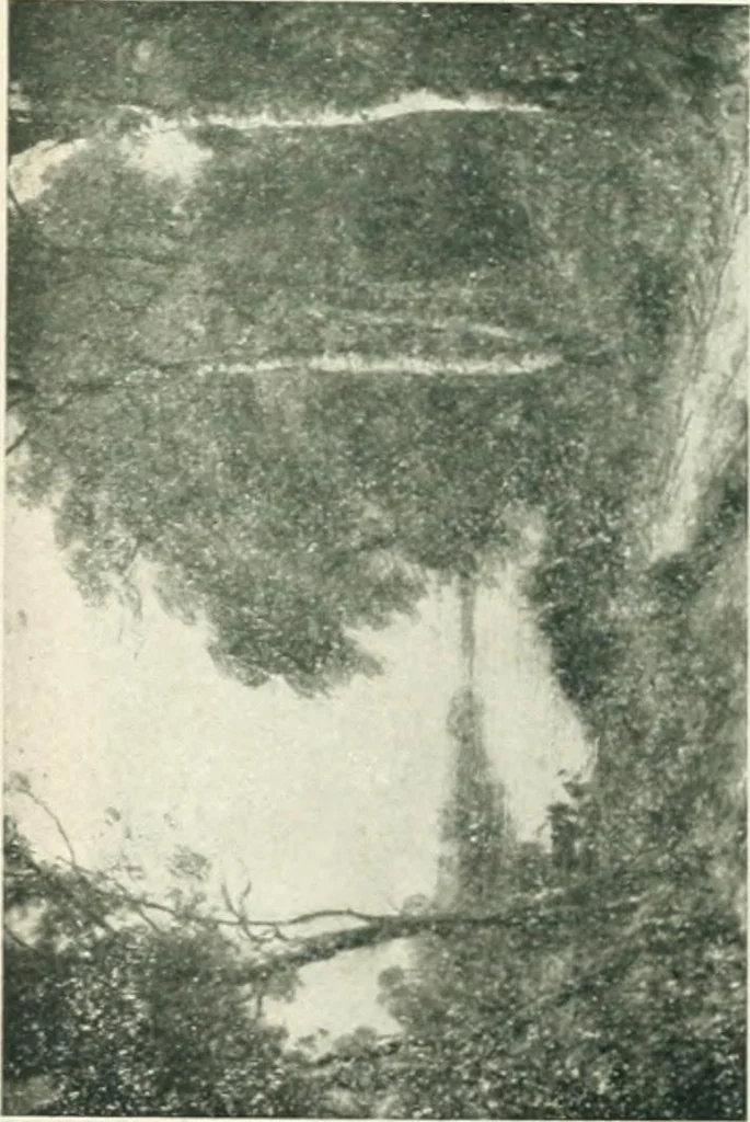 An illustration from Catalogue illustré, 1879, leaf 101