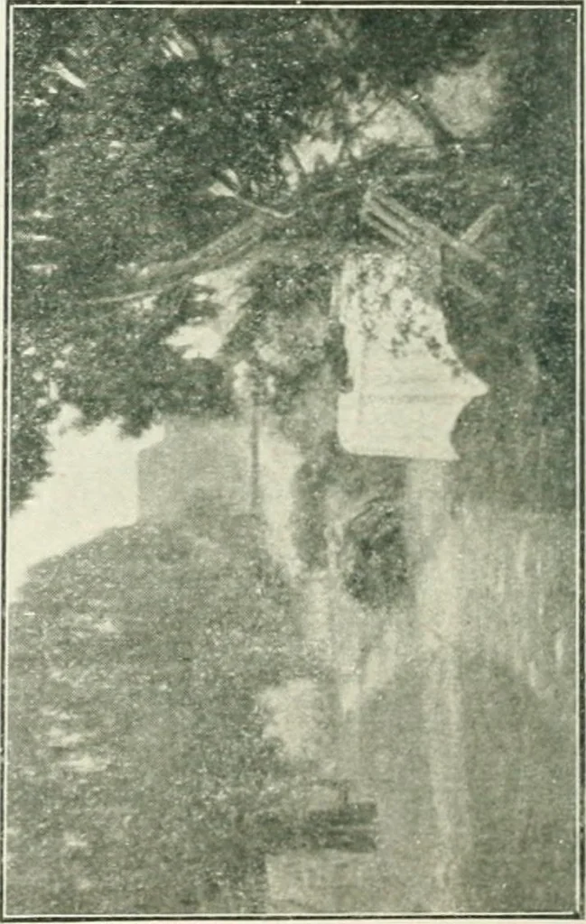 An illustration from Catalogue illustré, 1879, leaf 101