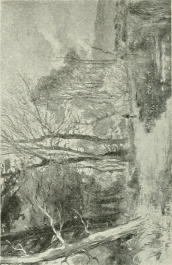 An illustration from Catalogue illustré, 1879, leaf 107