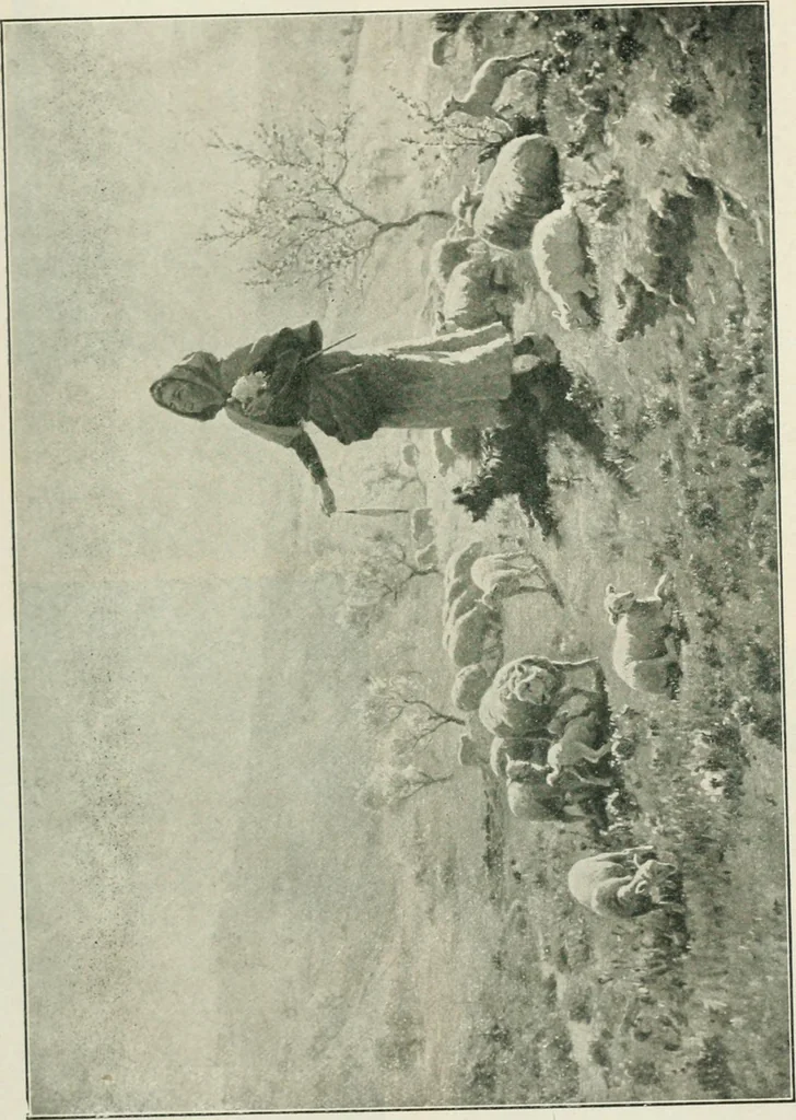 An illustration from Catalogue illustré, 1879, leaf 110