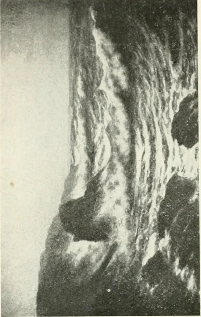 An illustration from Catalogue illustré, 1879, leaf 111