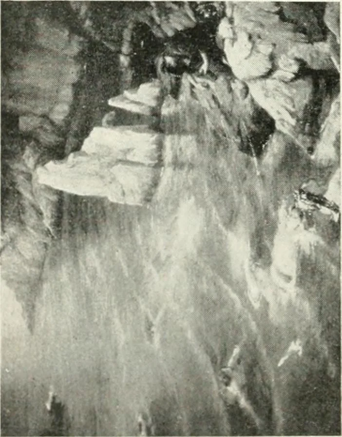 An illustration from Catalogue illustré, 1879, leaf 111