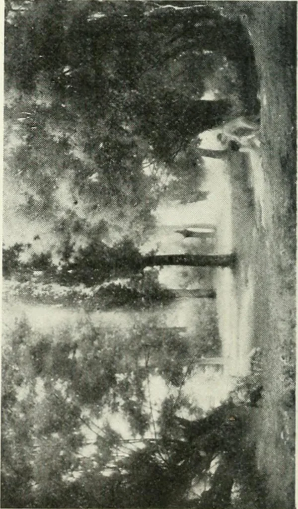 An illustration from Catalogue illustré, 1879, leaf 111