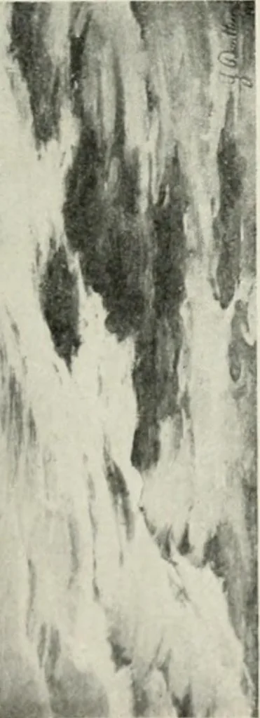 An illustration from Catalogue illustré, 1879, leaf 112