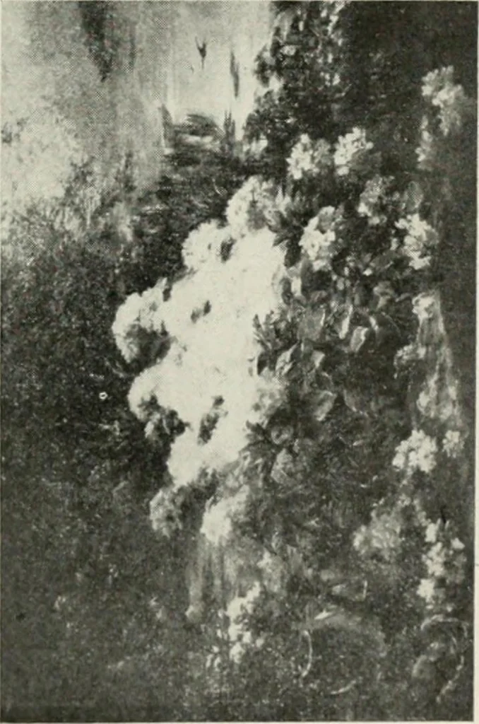 An illustration from Catalogue illustré, 1879, leaf 112