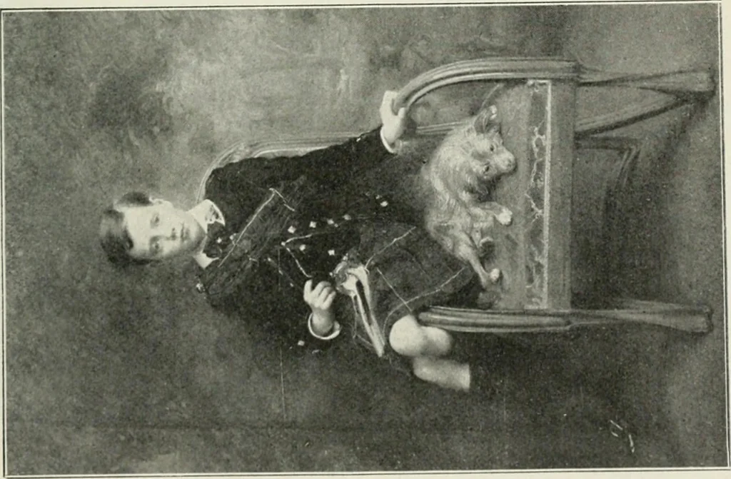 An illustration from Catalogue illustré, 1879, leaf 116