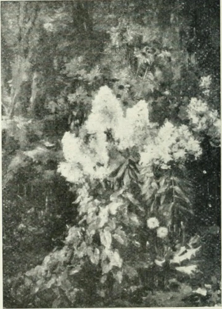 An illustration from Catalogue illustré, 1879, leaf 127