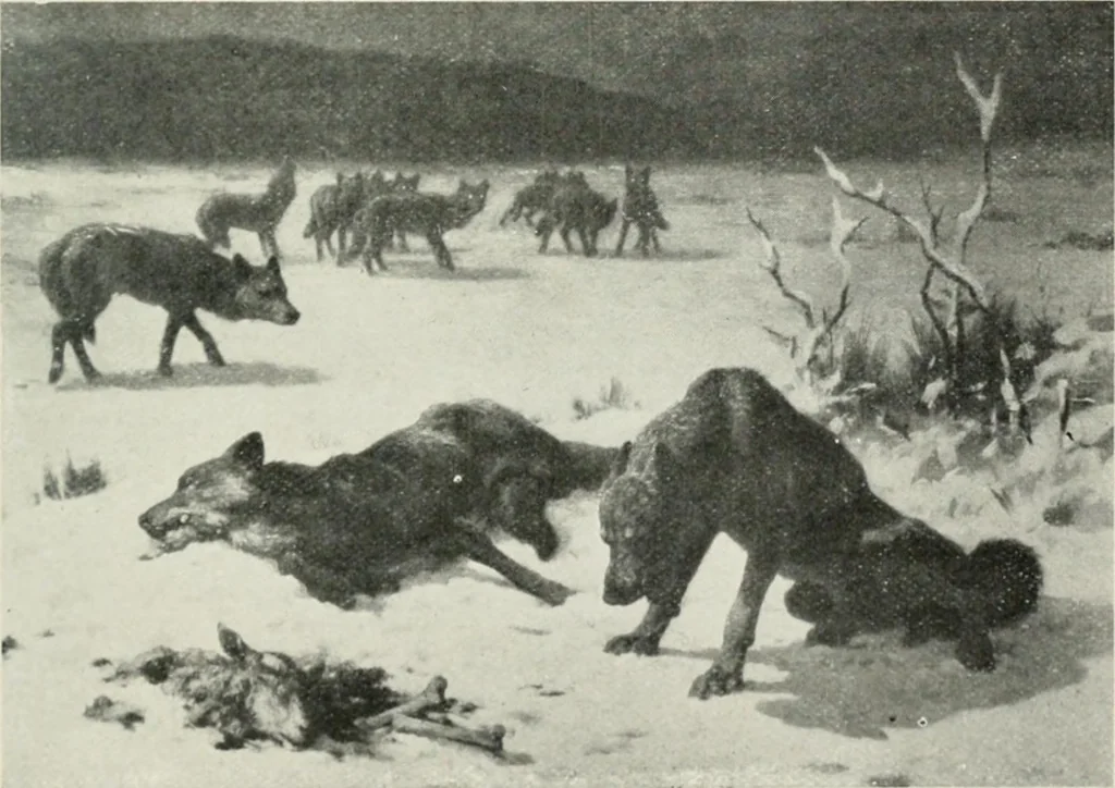 An illustration from Catalogue illustré, 1879, leaf 132