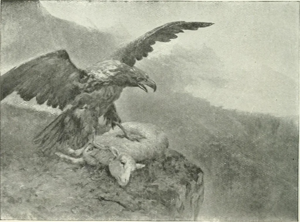 An illustration from Catalogue illustré, 1879, leaf 135