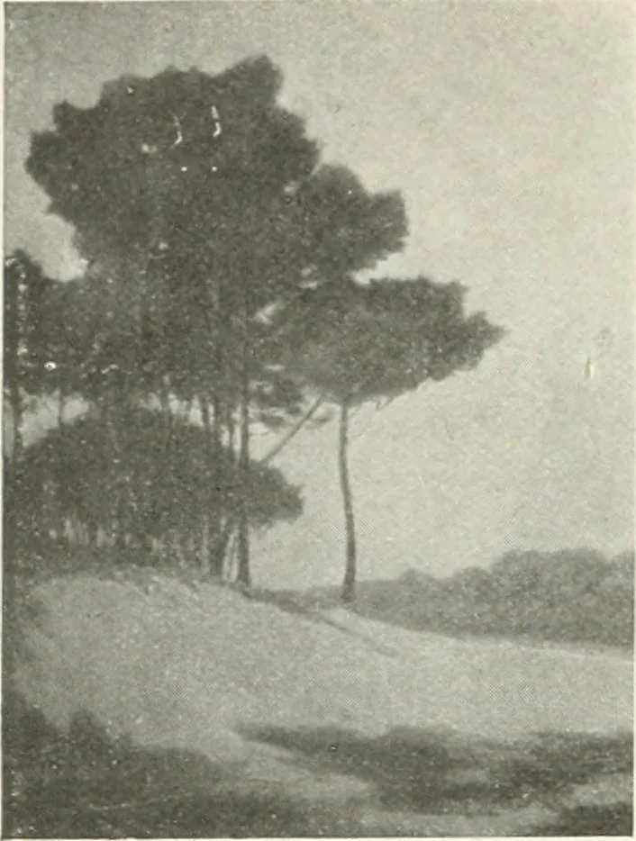 An illustration from Catalogue illustré, 1879, leaf 141