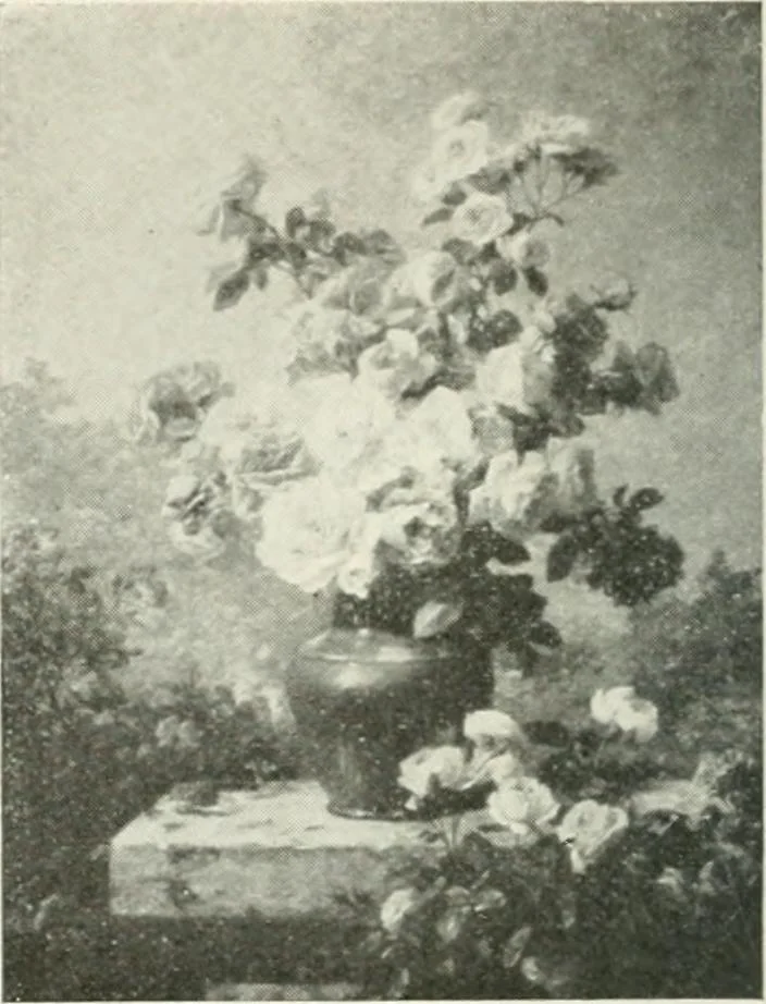 An illustration from Catalogue illustré, 1879, leaf 141
