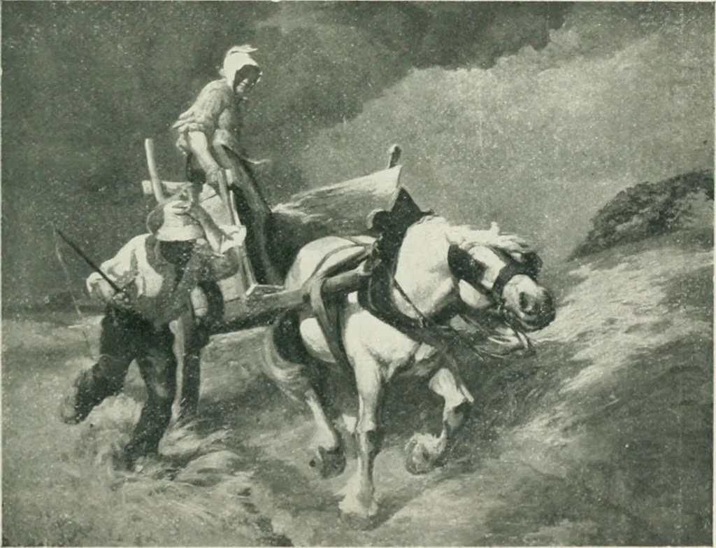 An illustration from Catalogue illustré, 1879, leaf 144