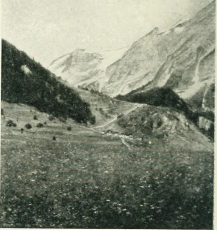 An illustration from Catalogue illustré, 1879, leaf 155