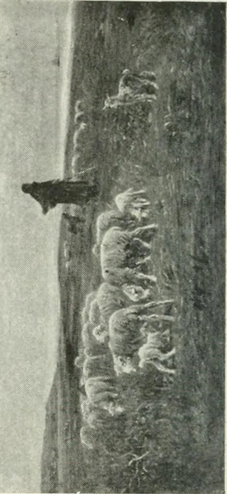 An illustration from Catalogue illustré, 1879, leaf 161