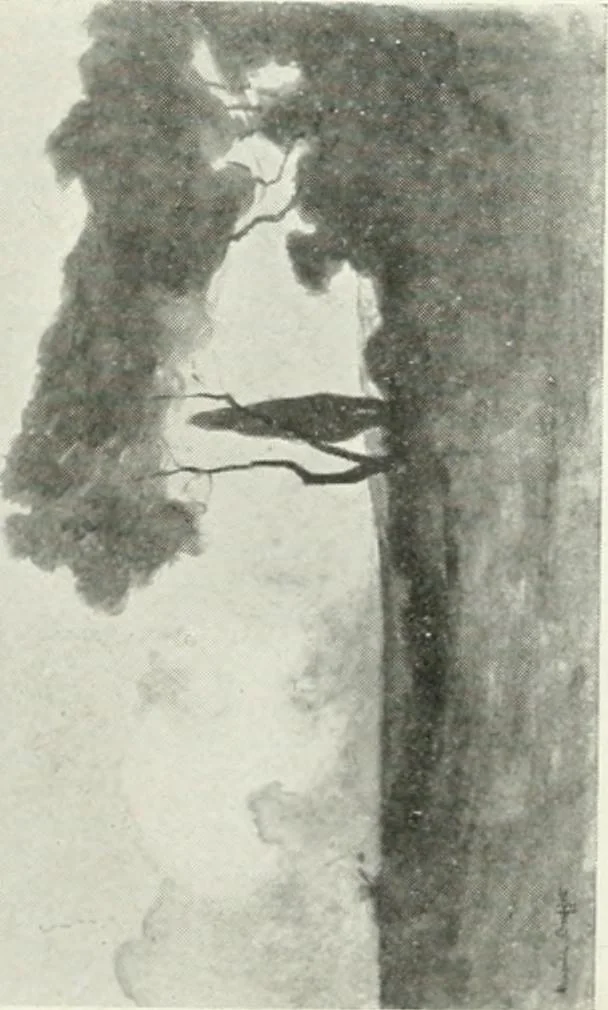 An illustration from Catalogue illustré, 1879, leaf 161