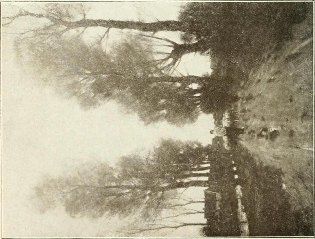 An illustration from Catalogue illustré, 1879, leaf 171