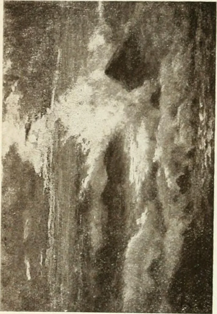 An illustration from Catalogue illustré, 1879, leaf 179