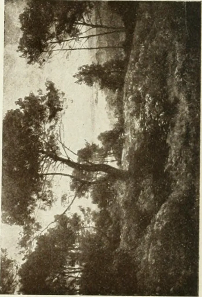 An illustration from Catalogue illustré, 1879, leaf 179