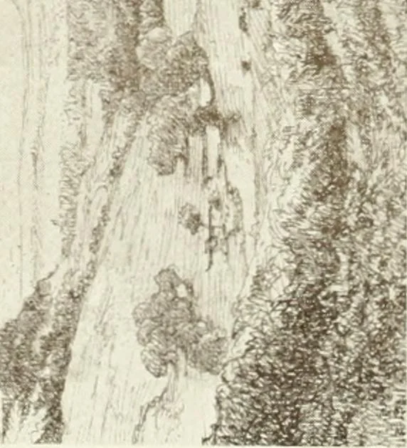 An illustration from Catalogue illustré, 1879, leaf 187