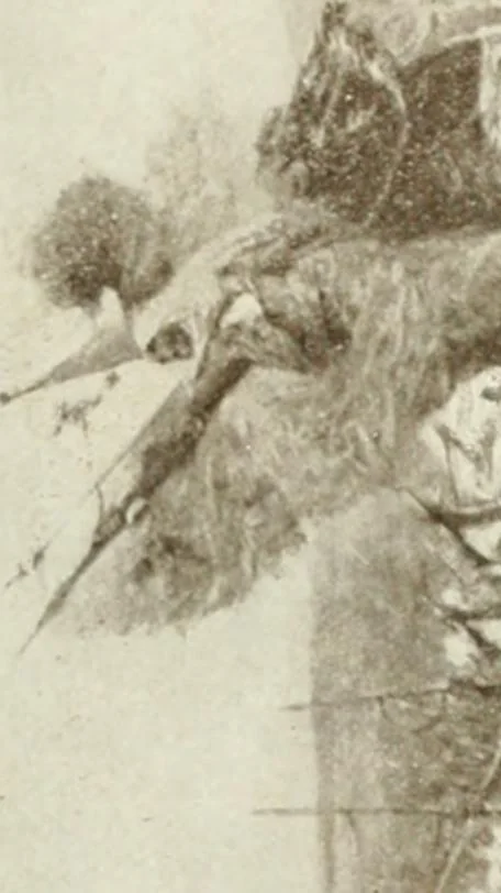 An illustration from Catalogue illustré, 1879, leaf 188