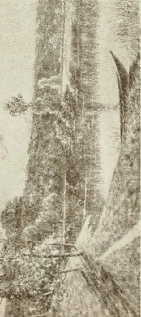 An illustration from Catalogue illustré, 1879, leaf 192