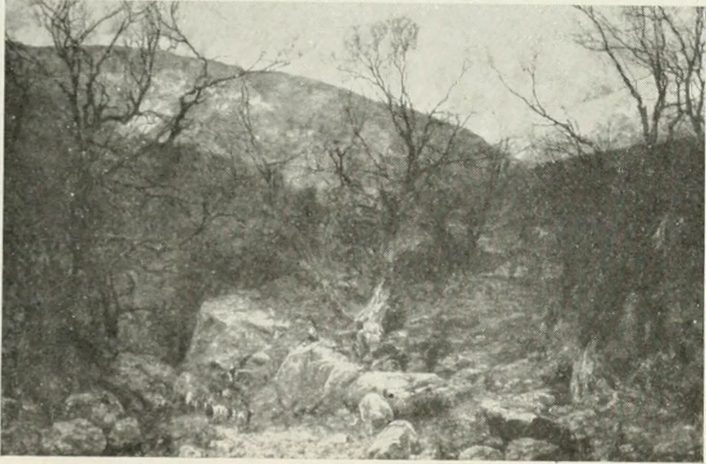 An illustration from Catalogue illustré, 1879, leaf 194