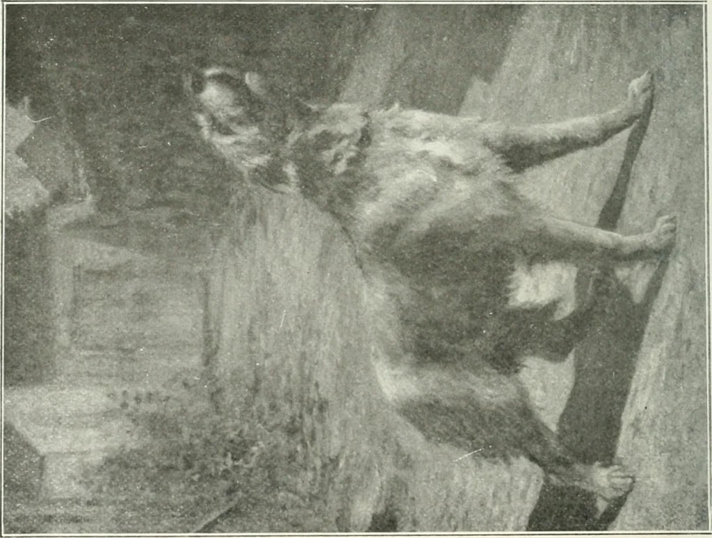 An illustration from Catalogue illustré, 1879, leaf 197