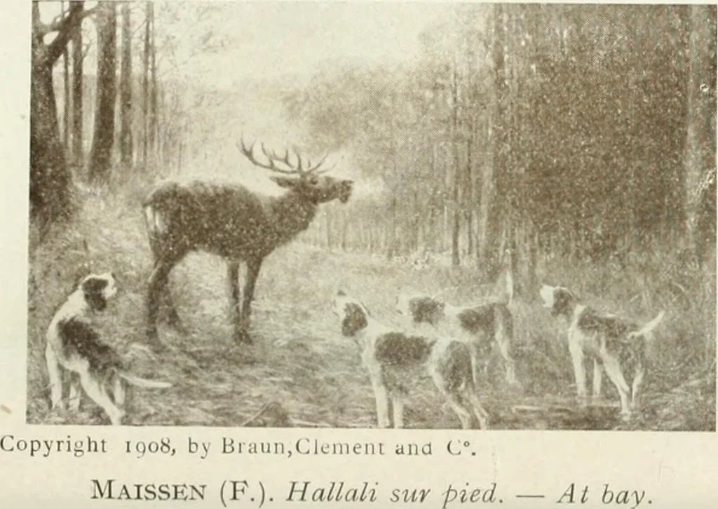 An illustration from Catalogue illustré, 1879, leaf 199